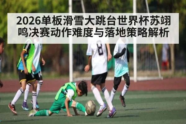 2026单板滑雪大跳台世界杯苏翊鸣决赛动作难度与落地策略解析