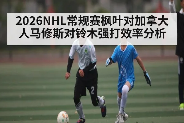 2026NHL常规赛枫叶对加拿大人马修斯对铃木强打效率分析